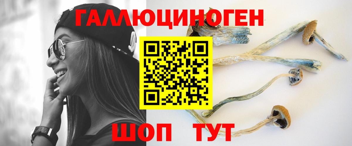 продажа наркотиков  Вход с VPN  Алатырь  Псилоцибиновые грибы прущие грибы  Псилоцибиновые грибы Psilocybine cubensis 