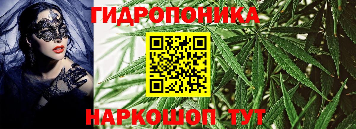 Бошки Шишки тримм Алатырь